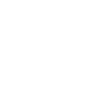 Care ICON